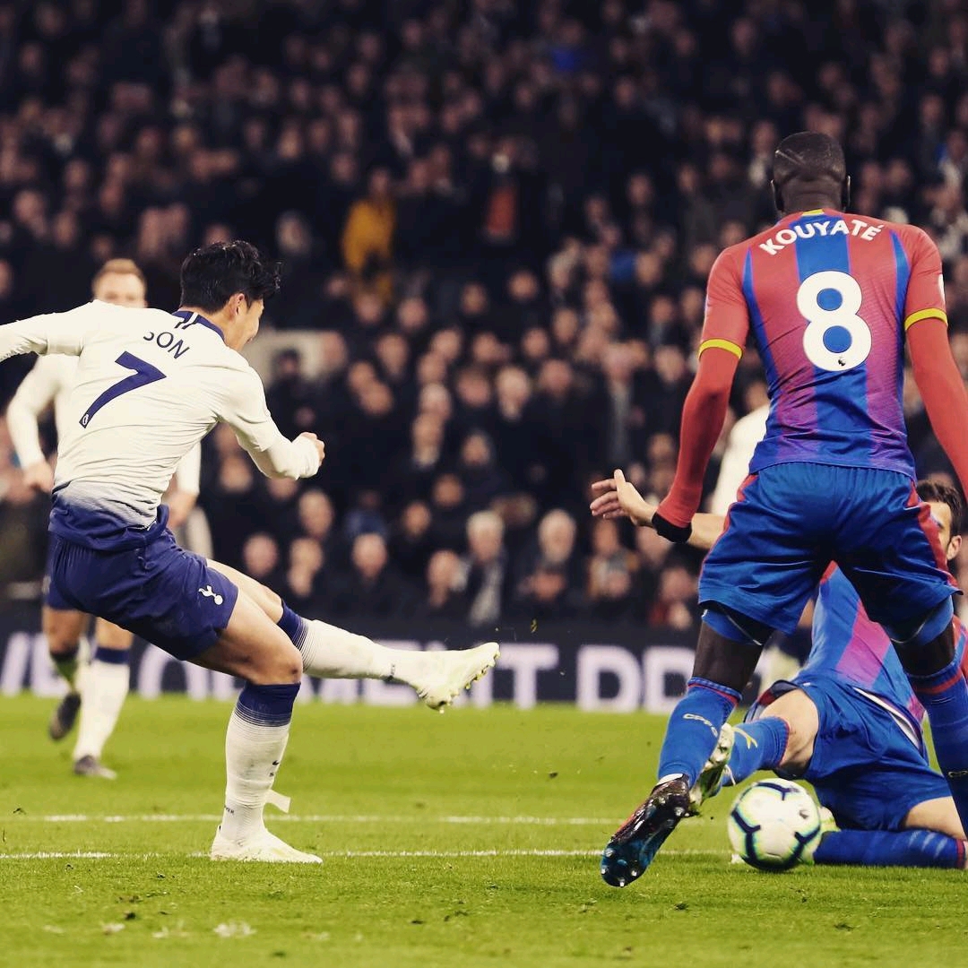 美国已经有 美国已经有